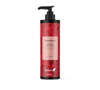 Ebers Champú Sin Sulfatos Anticaída 250 Ml (Ginseng, Romero y Aciano) protección del color con ingredientes de origen natural