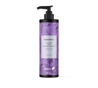 Ebers Champú Sin Sulfatos Antiencrespamiento 250 ml (Keratina vegetal, Ácido hialurónico, Ac. de Granada y Ac. Ricino) protección del color con ingredientes de origen natural
