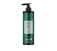 Ebers Champú Sin Sulfatos Limpieza Profunda 250 ml (Aloe vera y Árbol del té) protección del color con ingredientes de origen natural