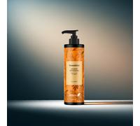 Ebers Champú Sin Sulfatos Reparador 250 Ml (Biotina y Cola de Caballo) protección del color con ingredientes de origen natural