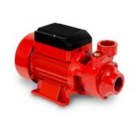 EBERTH Bomba de agua para jardín, bomba centrífuga de succión, conexión de 1 pulgada, potencia de 750 W, altura de aspiración de 8 m, altura de extracción de 50 m, caudal de 2400 l/h, autoaspirante