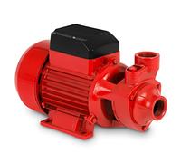 EBERTH Bomba de agua para jardín, bomba centrífuga de succión, conexión de 1 pulgada, potencia de 750 W, altura de aspiración de 8 m, altura de extracción de 60 m, caudal de 3.000 l/h, autoaspirante