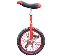 EBZFASO Monociclo para Adultos Monociclo de 20 Pulgadas con llanta de aleación for Ciclistas Unisex. Altura de 1,65 m a 1,8 m. Carga 150 kg.