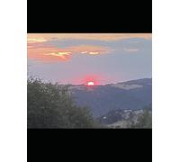 Ecclesiastes and Song of Solomon Study Guide: Terry In The Word