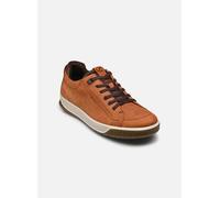 Ecco Byway Tred M 43 Marrón