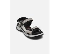 Ecco Offroad W 37 Gris