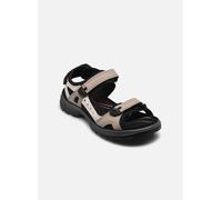 Ecco Offroad W 41 Negro