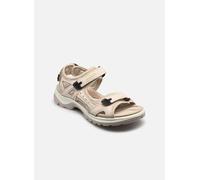 Ecco Offroad W 42 Beige