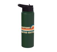 ECHEVERRY Retro 70s 80s Sunset Stripe Stainless Steel Insulated Water Bottle