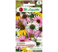 Echinacea - mezcla de especies