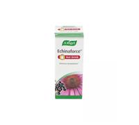 Echinaforce Hot Drink Ml 100 de A.Vogel