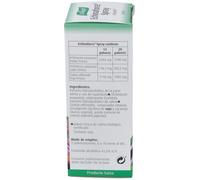 Echinaforce Spray Garganta 30ml
