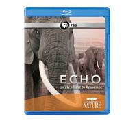 Echo: An Elephant to Remember [USA] [Blu-ray]