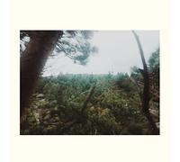 Echo Field - The Echo Field [Import] [Vinilo]