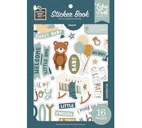 Echo Park Sticker Book-Special Delivery Baby Boy