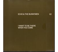 Echo & The Bunnymen - I Want To Be There