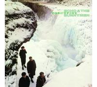 Echo & The Bunnymen - Porcupine