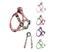 ECHOBTEN Arnés ajustable de nailon suave, adecuado para viajes diarios de mascotas al aire libre, adecuado para perros pequeños y medianos, el patrón del producto es bonito y brillante (S, colorido)