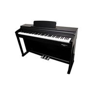 ECHORD DPX 100 (Negro)