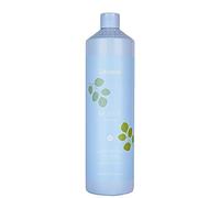 Echosline Champú Balance Purificante – 1000 ml