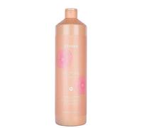 ECHOSLINE Discipline Champú para cabello rebelde encrespado y rebelde, 1000 ml