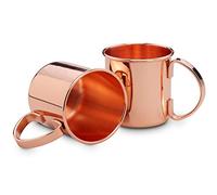 Echtwerk Juego de vasos de cobre, vasos de acero inoxidable, juego de cócteles, perfecto para ginebra, vodka, cerveza y bebidas frías, juego de regalo, 2 tazas de cobre de 450 ml