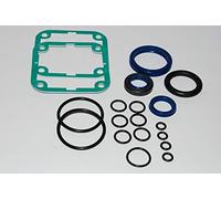 ECI Elettrosuministrure - Repuesto original BFT S099113 - Kit de juntas de sellado dorado RAD