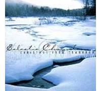 Eclectic Chameleon - Xmas from Tomorrow