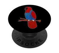 Eclectus Parrot Rojo Mujer Lindo Dibujo PopSockets PopGrip Adhesivo