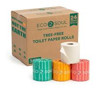 ECO SOUL Papel higiénico de bambú, 24 megarrollos, 3 capas, 300 hojas por rollo, papel higiénico ecológico y seguro para sépticos, papel higiénico sostenible, compostable, certificado FSC