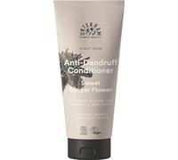 Eco Vegan Sweet Ginger Acondicionador 180ml.