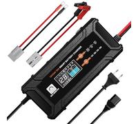 ECO-WORTHY 12 V/24 V 20 A Cargador de batería LiFePO4 con opciones multicanal 5 A/10 A/15 A/20 A, detección automática de voltaje de la batería Ploácido LiFePO4