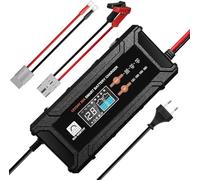 ECO-WORTHY 12V/24V 20A Cargador de batería LiFePO4 con Detección Automática