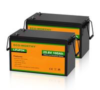 ECO-WORTHY 2 baterías LiFePO4 de 24 V y 100 Ah con 100 A BMS y hasta 15000 ciclos, batería de litio de 5,12 kW de 100 Ah para sistema solar