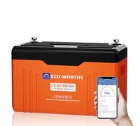 ECO-WORTHY Batería de Litio LiFePO4 12 V 300 Ah con Bluetooth, Indicador LED, Protección BMS de Baja Temperatura y máx. 15000 Ciclos, 3840 Wh LiFePO4 12 V para Autocaravana, Panel Solar