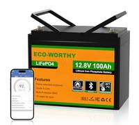 ECO-WORTHY Bateria LiFePO4 12v 100Ah Bluetooth Baja Temp. | BMS con protección contra bajas temperaturas, 1280Wh de energía, ideal para caravanas, autocaravanas y pesca con caña.