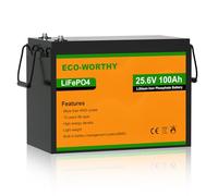 ECO-WORTHY Batería LiFePO4 24V 100Ah, 2.56kWh Batería de Litio con Protección BMS y 3000-15000 Ciclos LiFePO4 para RV, Camping, Sistema Solar, Barco, Panel Solar, Hogar