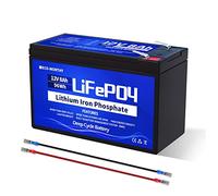 ECO-WORTHY Batería LiFePO4 de 12 V 8 AH, más de 4000 ciclos de litio de ciclo profundo con BMS de 8 A, para energía solar, buscador de peces, ruedas eléctricas, iluminación, sistema de alarma
