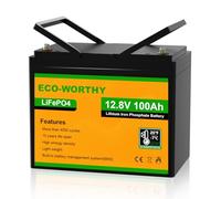 ECO-WORTHY Bateria Litio 12V 100Ah Bateria LiFePO4 Energía de Emergencia con más de 4000-15000 de Ciclo Profundo y Protección BMS, Protección contra Bajas Temperaturas, para Kit de Placa Solar, RV