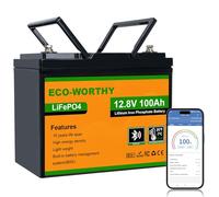 ECO-WORTHY Bateria Litio 12V 100Ah Bluetooth, LiFePO4 100Ah con protección BMS Low Temperature y máx 15000 ciclos, Batería LiFePO4 de 1280 WH para Autocaravana,Caravan, Barco, Panel Solar