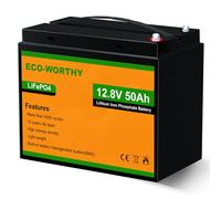 ECO-WORTHY Bateria Litio 12V 50Ah Bateria LiFePO4 Energía de Emergencia con más de 3000-15000 de Ciclo Profundo y Protección BMS para el Kit Placa Solar, Hogar, RV, Carritos de Golf, Marina