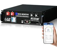 ECO-WORTHY Cubix100 LiFePO4 48V 100Ah Bluetooth IEC 62619 con BMS de 100A, bateria litio de 5,12kWh, armario para servidor, batería solar para sistema solar completo,sistema fotovoltaico, autocaravana
