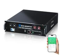 ECO-WORTHY LiFePO4 48 V 100 Ah V3 Bluetooth con BMS de 100 A, bateria Litio de 5,12 kWh y 48 V, Armario para Servidor, bateria Solar para Sistema Solar Completo, Sistema fotovoltaico