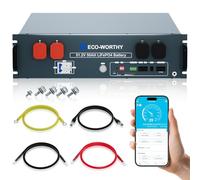 ECO-WORTHY LiFePO4 48 V 50 Ah Bluetooth con 100 A BMS, 2,56 KWh 48 V batería de litio armario de servidor batería solar para sistema solar Juego completo, sistema fotovoltaico
