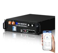 ECO-WORTHY LiFePO4 48V 100Ah V3 Bluetooth IEC 62619 con BMS de 100 A, batería de litio de 5,12 kWh, armario para servidor, batería solar para sistema solar completo, sistema fotovoltaico, autocaravana