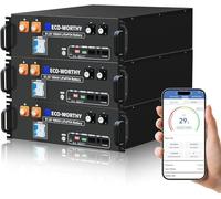 ECO-WORTHY LiFePO4 48V 300Ah V3 15KWH Bateria lifepo4 (3 Unidades, 48V 100Ah, 100 A, BMS, 3 U, Compatible con Can&RS485 para Sistema Solar Completo, Sistema fotovoltaico)