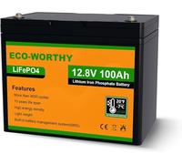 ECO-WORTHY LiFePO4 - Batería solar de litio, 12 V, 100 Ah, recargable, con BMS y protección contra baja temperatura, para autocaravana, pesca con caña y demás