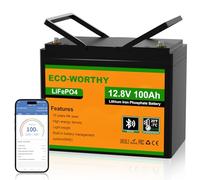 ECO-WORTHY - Batería de litio (12 V, 100 AH, batería LiFePO4 con protección a baja temperatura, BMS inteligente, 1280 Wh de energía, para caravanas, autocaravanas, sistema solar, pesca de línea