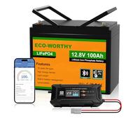 ECO-WORTHY LiFePO4 Bluetooth 12 V 100 Ah con Cargador de 12/24 V 20 A, bateria Litio 12 V 100 Ah con protección BMS de Baja Temperatura para caravanas, Barcos, caravanas