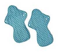 Ecofit Compresas Ecofit Maxi/Noche 2 Unds 350 g